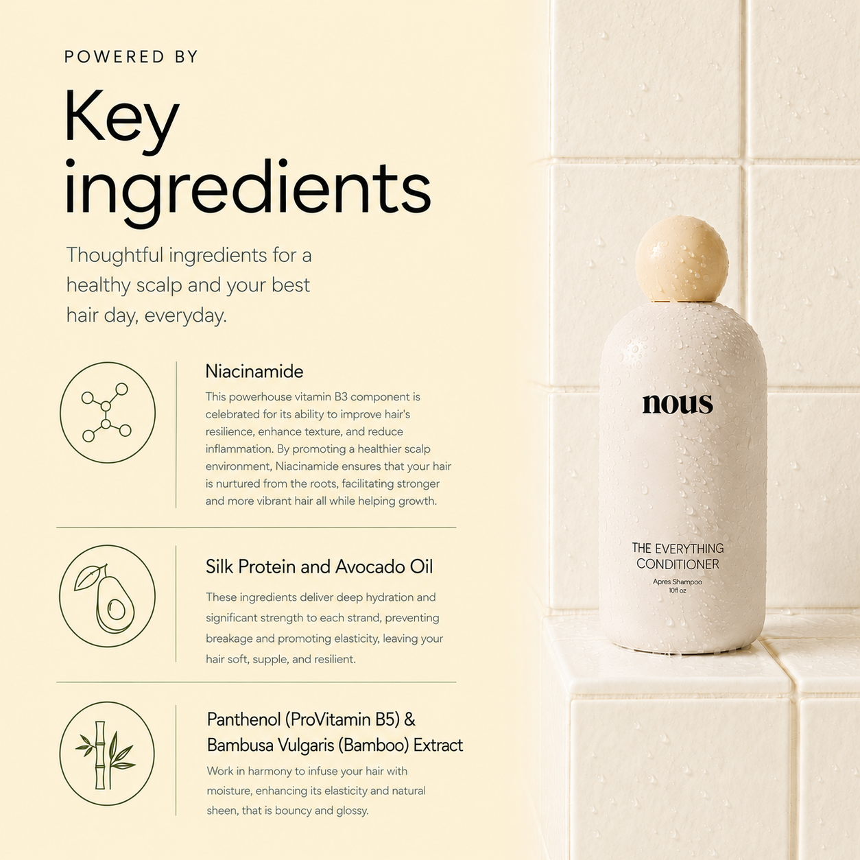 THE EVERYTHING CONDITIONER